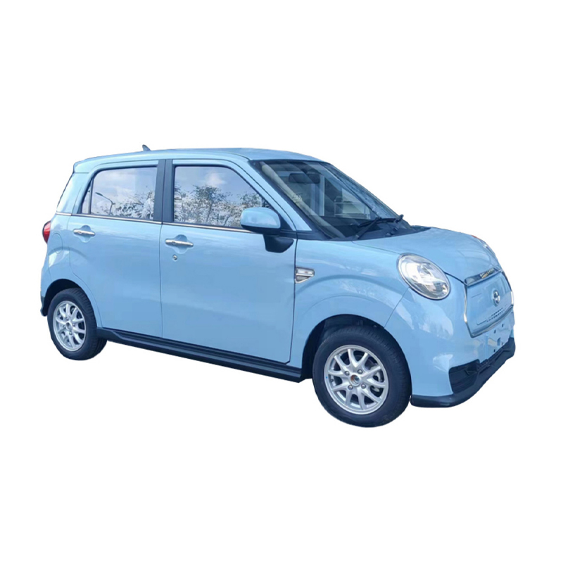 Electric Used Vehicle